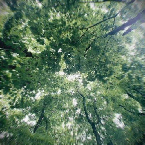 Встретимся снова